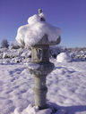 lantern-in-snow-with-p-a-specatabilis.jpg